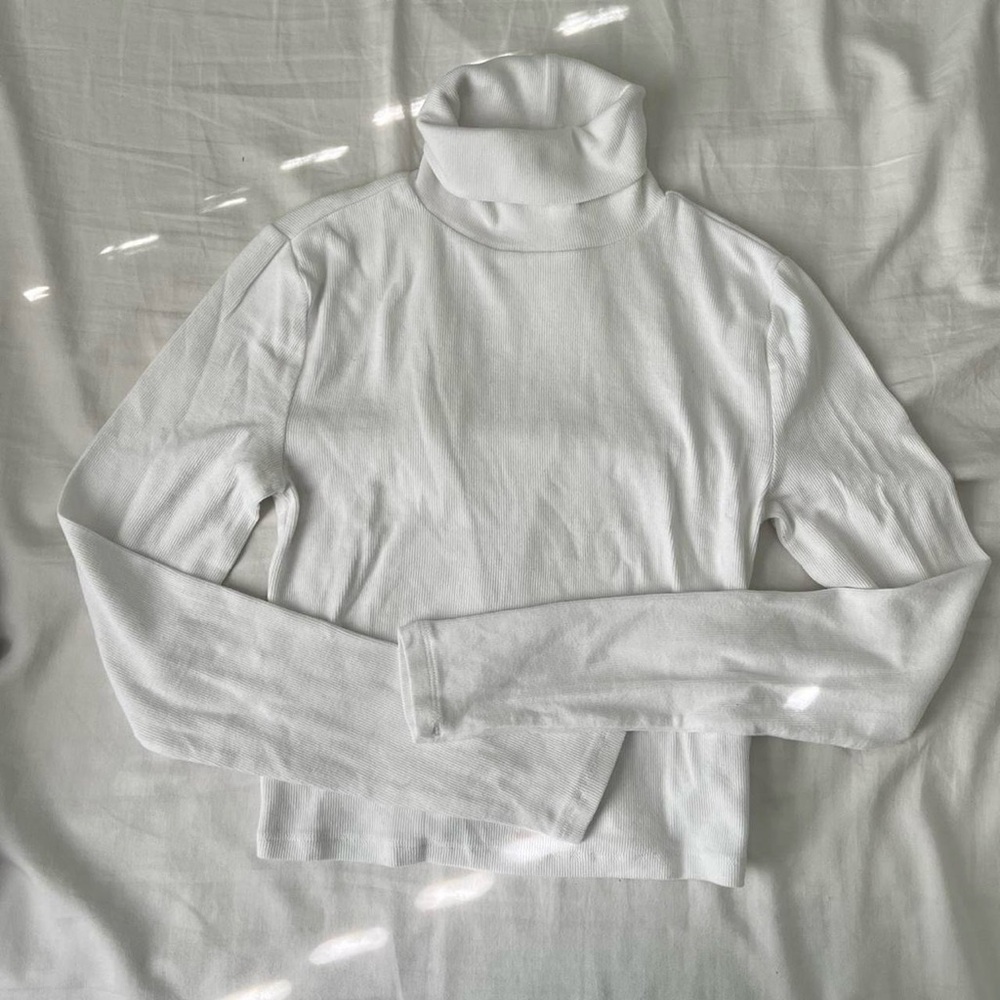 Aritzia Cropped Turtleneck